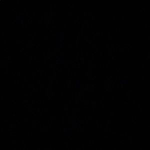 Meet your Posher, Mason